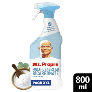Nettoyant Ménager Multi-Usages Bicarbonate Eucalyptus MR PROPRE